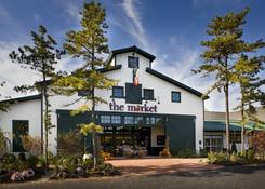 
                                	        The Pinehills: The Pinehills - The Market
                                    